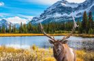 Canada - Thiên đường khi vào thu