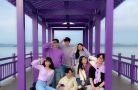 Xuất hiện đảo tím Purple Island độc đáo ở Hàn Quốc