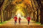 Những con đường mùa thu đẹp khắp thế giới