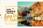 Ngắm sắc thu Châu Á lung linh sắc màu