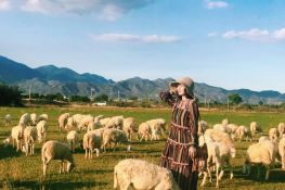 Tour Biển Đảo: Cam Ranh - Ninh Thuận - Nha Trang