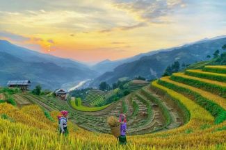 Check-in 4 địa điểm nổi tiếng Tây Bắc mùa lúa chín