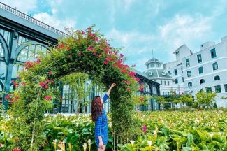 Chiếm ngưỡng thung lũng hoa hồng lớn nhất Việt Nam