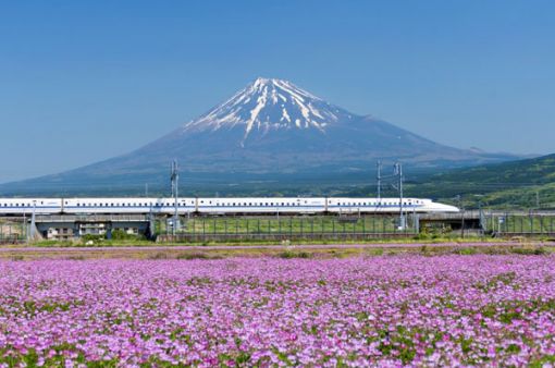 Dịch Vụ Vé Tàu Hỏa - Tàu Shinkansen - Tgv
