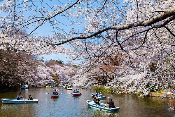 Chi Phí Du Lịch Nhật Bản Không Đắt Đỏ Như Bạn Nghĩ