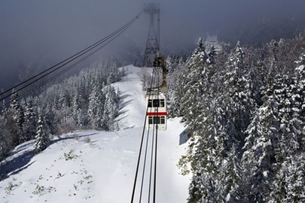 Đẹp Dịu Dàng Mùa Hoa Anh Đào Trên Miền Trung Nhật Bản