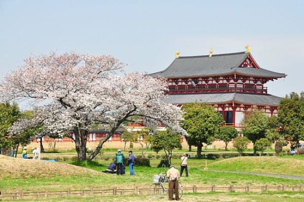 Nara Nhật Bản - Nét Duyên Ngầm Những Điểm Đến Đầy Tuyệt Vời