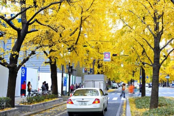 Du Lịch Osaka Nhật Bản Ghé 4 Địa Điểm Lý Tưởng Để Thưởng Ngoạn Mùa Thu
