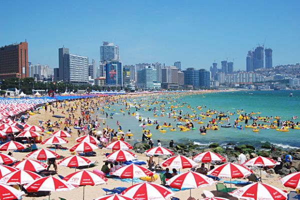 Thành Phố Cảng Busan Và 8 Trải Nghiệm Độc Đáo Đừng Bỏ Lỡ