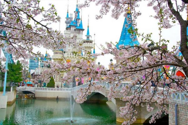 Tận Hưởng Kỳ Nghỉ Hè Đầy Sôi Động Tại Everland Hàn Quốc