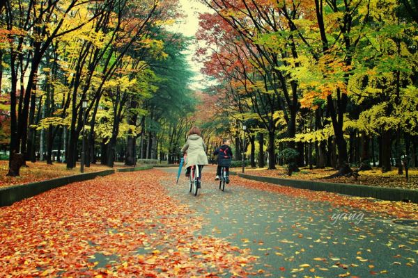 7 Lý Do Vì Sao Nên Chọn Du Lịch Nhật Bản Tháng 9