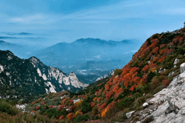 Du Lịch Trung Quốc Chiêm Ngưỡng Ngũ Đại Danh Sơn Lừng Danh 