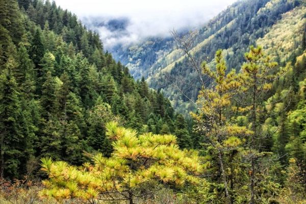 Cửu Trại Câu Những Ngày Cuối Thu Đầu Đông Đẹp Đến Khó Cưỡng