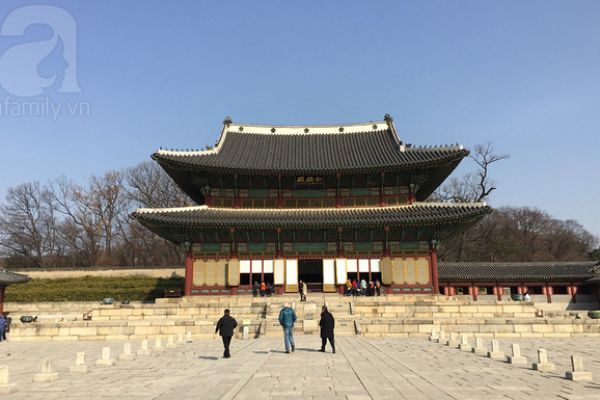 7 Ngày Trải Nghiệm Du Lịch Hàn Quốc Tự Túc Giá Rẻ