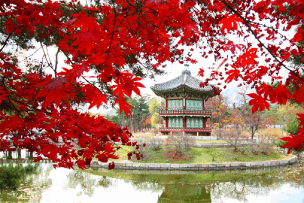 Review Cảnh Đẹp Hàn Quốc - Nhật Bản Ngày Sang Thu