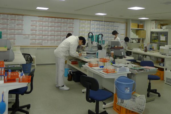 Rượu Sake - Quốc Tửu Trong Văn Hóa Người Nhật Bản