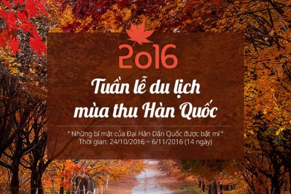 Tuần Lễ Khám Phá Du Lịch Mùa Thu Hàn Quốc Không Giới Hạn 2016