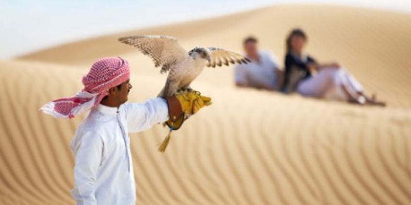 Tour Dubai: Khám phá Dubai - Abu Dhabi - Huyền bí đêm Ả Rập