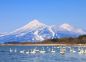 Tour Nhật Bản: Hokkaido Điều Kì Diệu Đến Từ Phương Bắc