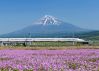 Dịch Vụ Vé Tàu Hỏa - Tàu Shinkansen - Tgv