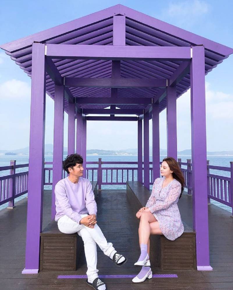 Xuất hiện đảo tím Purple Island độc đáo ở Hàn Quốc ảnh 4