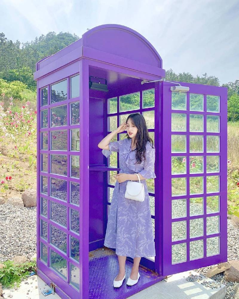 Xuất hiện đảo tím Purple Island độc đáo ở Hàn Quốc ảnh 6