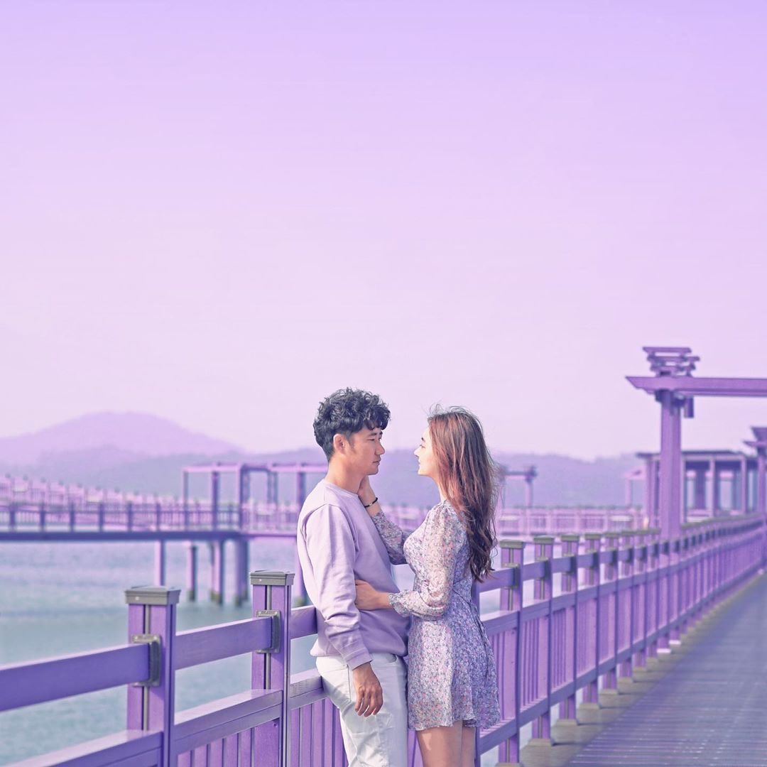 Xuất hiện đảo tím Purple Island độc đáo ở Hàn Quốc ảnh 9