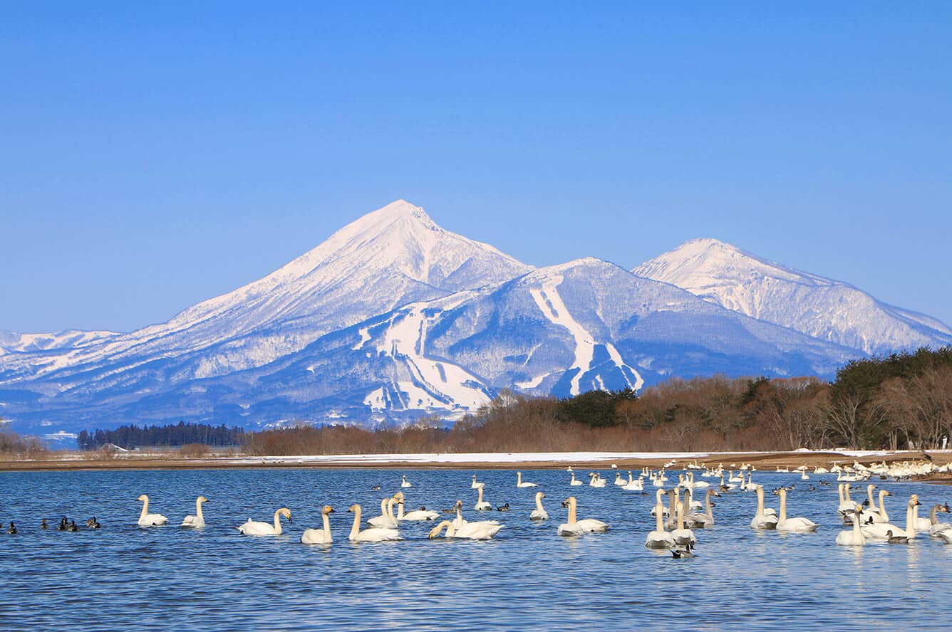 Tour Nhật Bản: Hokkaido Điều Kì Diệu Đến Từ Phương Bắc