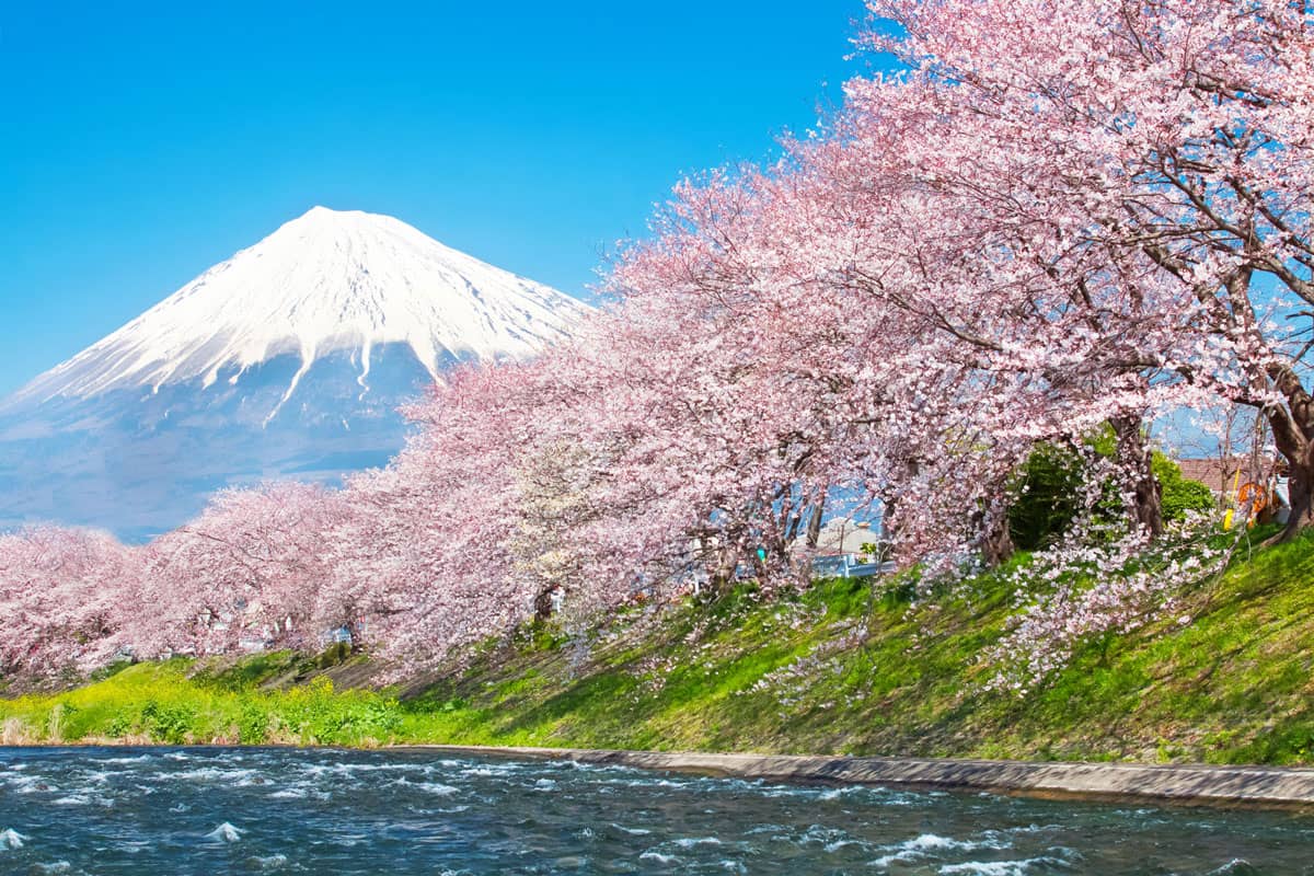 Tour Nhật: Khám Phá Vùng Đất Nghỉ Dưỡng Kyushu