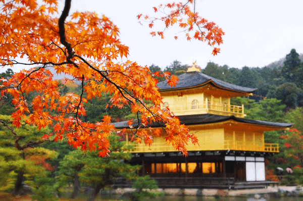 du lịch GoldenTour 