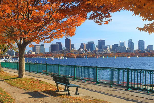 Boston ngập trong sắc vàng những ngày thu.